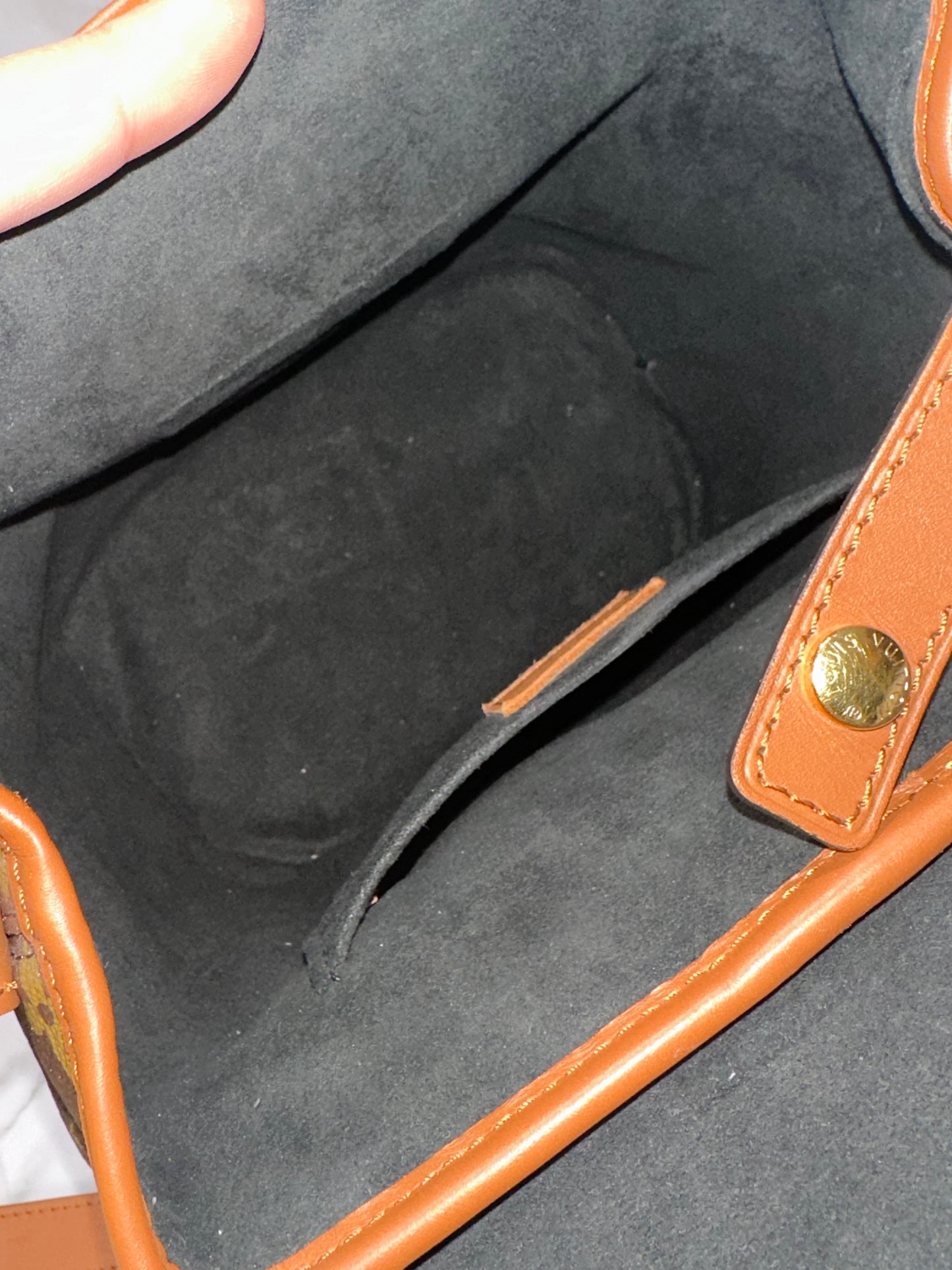 Reverse Monogram Dauphine Backpack